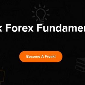 freak-forex-fundamentals