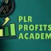 plr-profits-academy-teach-me-money-methods