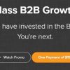 The Badass B2B Growth Guide