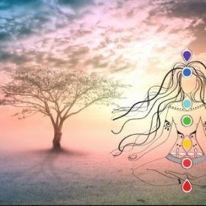7 Chakras Meditation – Learn to Heal Balance and Activate your Chakras by using Quantum Codes