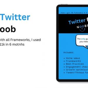 Twitter for Noobs - Twitter Growth Framework