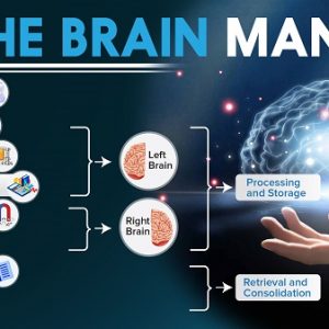 ultimate-brain-manual