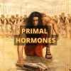 aesthetic-primal-primal-hormones