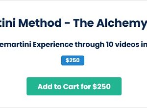 the-demartini-method-the-alchemy-of-the-mind