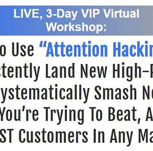 the-3-day-attention-hacking-vip-workshop-stefan-georgi
