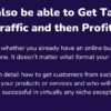 how-i-built-my-crazy-traffic-source-made-25000-in-4-months-from-scratch-in-my-online-business