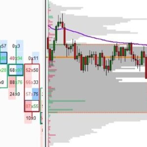 price-action-volume-trader-day-trading-with-volume-profile-orderflow