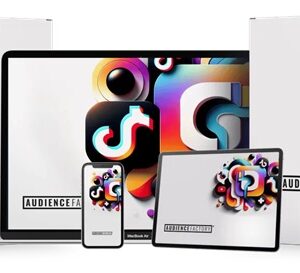 audience-factory-mike-dillard