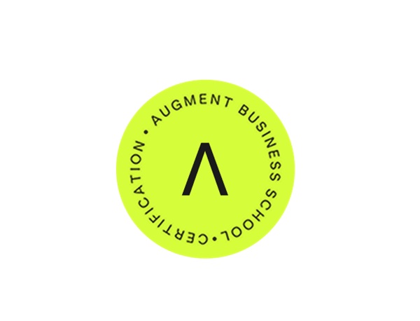 augment-the-augment-mba augment-the-augment-mba