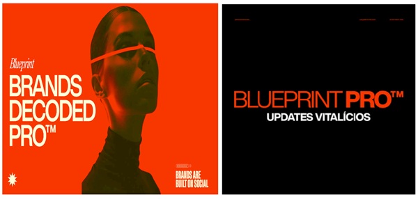 brandsdecoded-blueprintpro-lifetime-updates brandsdecoded-blueprintpro-lifetime-updates